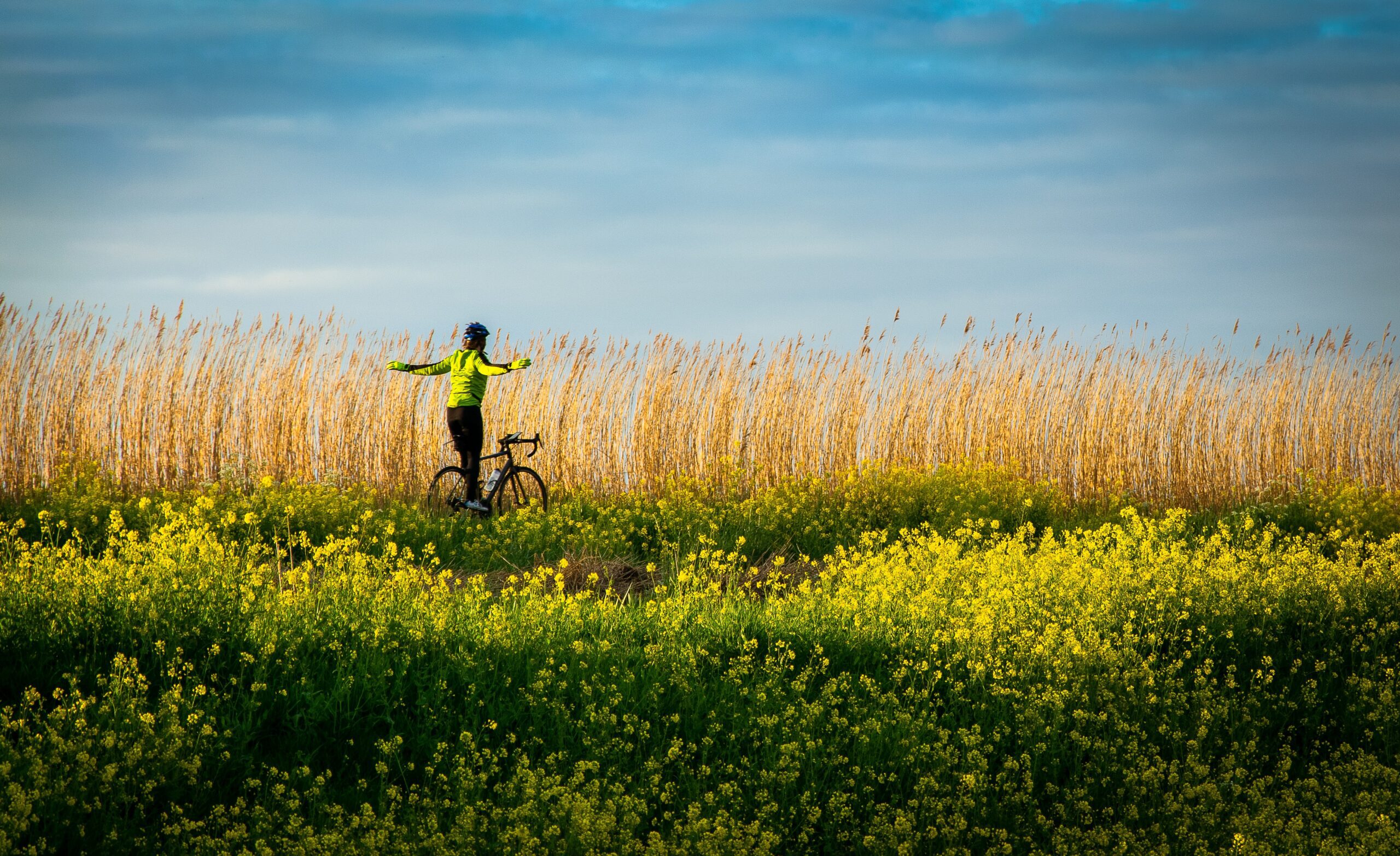 Surprising cycling in two provinces - Athena